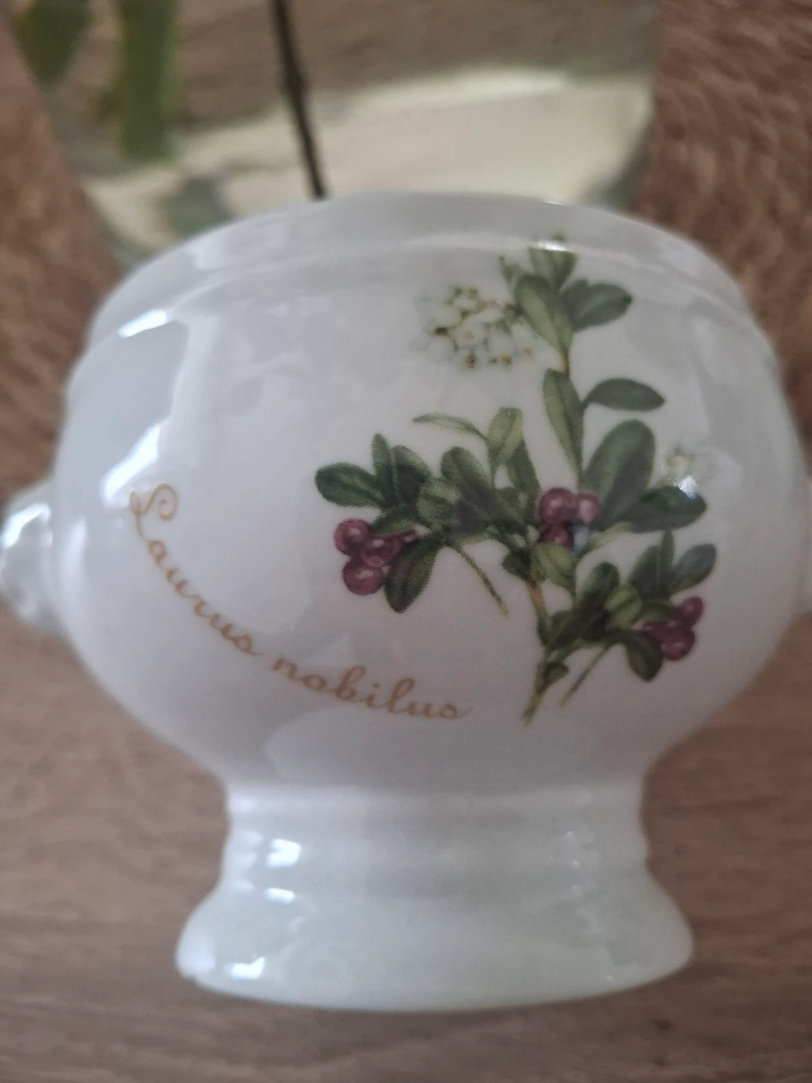 Stunning Miniature Soup Bowl Italian Porcelain Spice Pot Botanical Pattern – photo 11